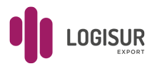 LOGISUR Logo